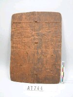 藏品(木盾)的圖片